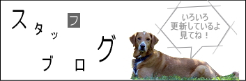 交通事故・事務所の日常などを随時更新中！スタッフブログ